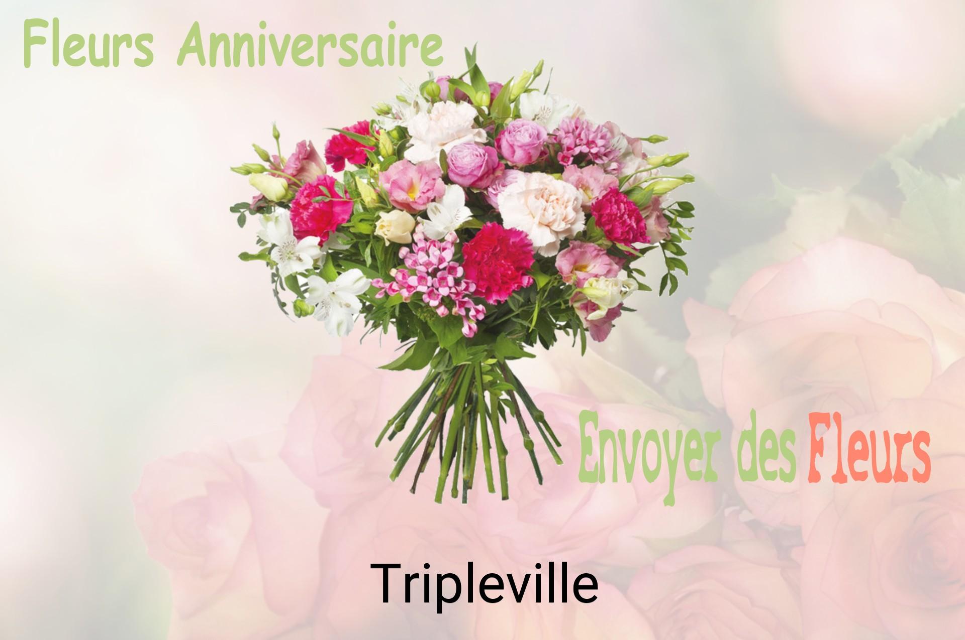 Bouquet de fleurs d’anniversaire livré à Tripleville