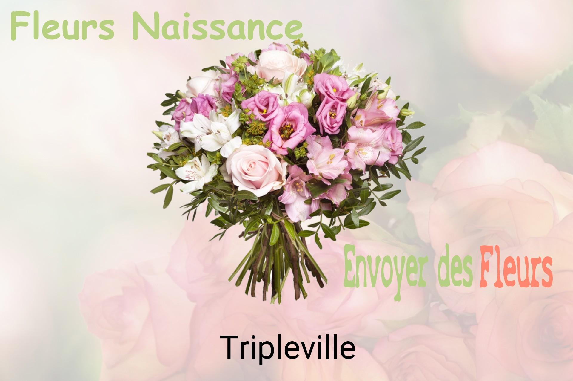 Bouquet de fleurs de naissance livré à Tripleville