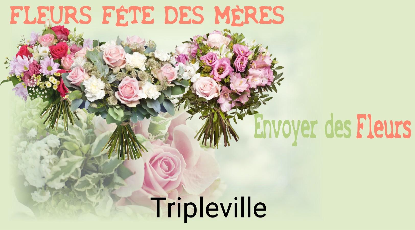 Bouquet de Fête des Mères livré à Tripleville